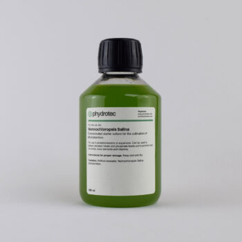 Nannochloropsis Salina – 200ml